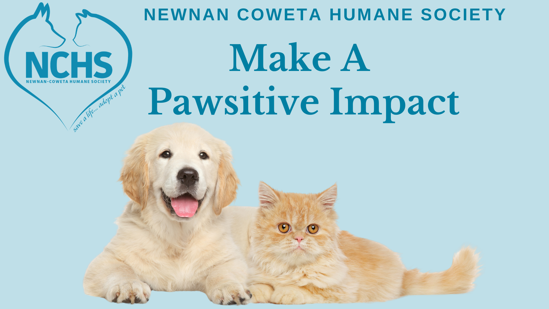 Campaign cover image for Make a Pawsitive Impact for NCHS