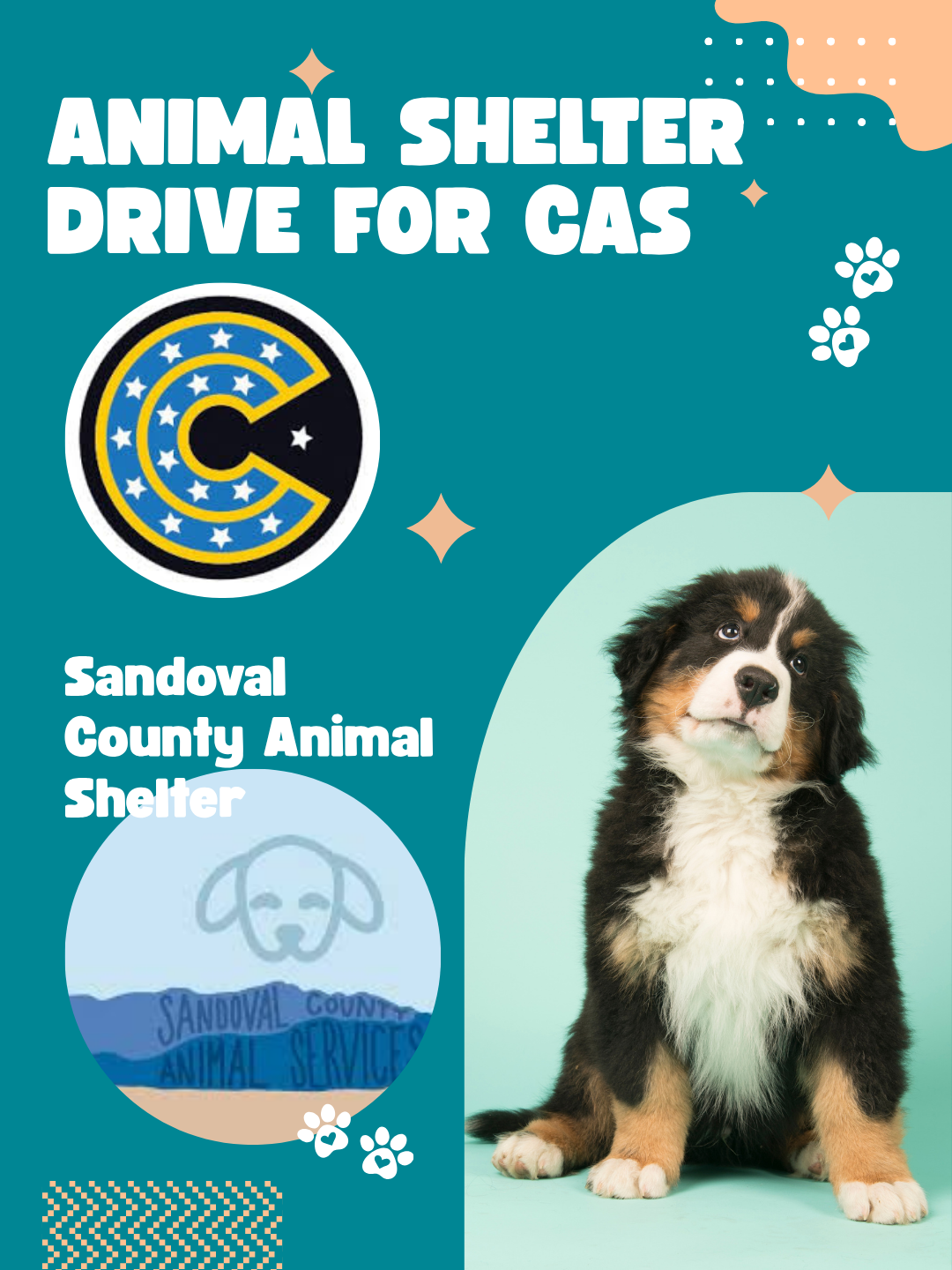 Campaign cover image for CAS 1: Animal Shelter Drive