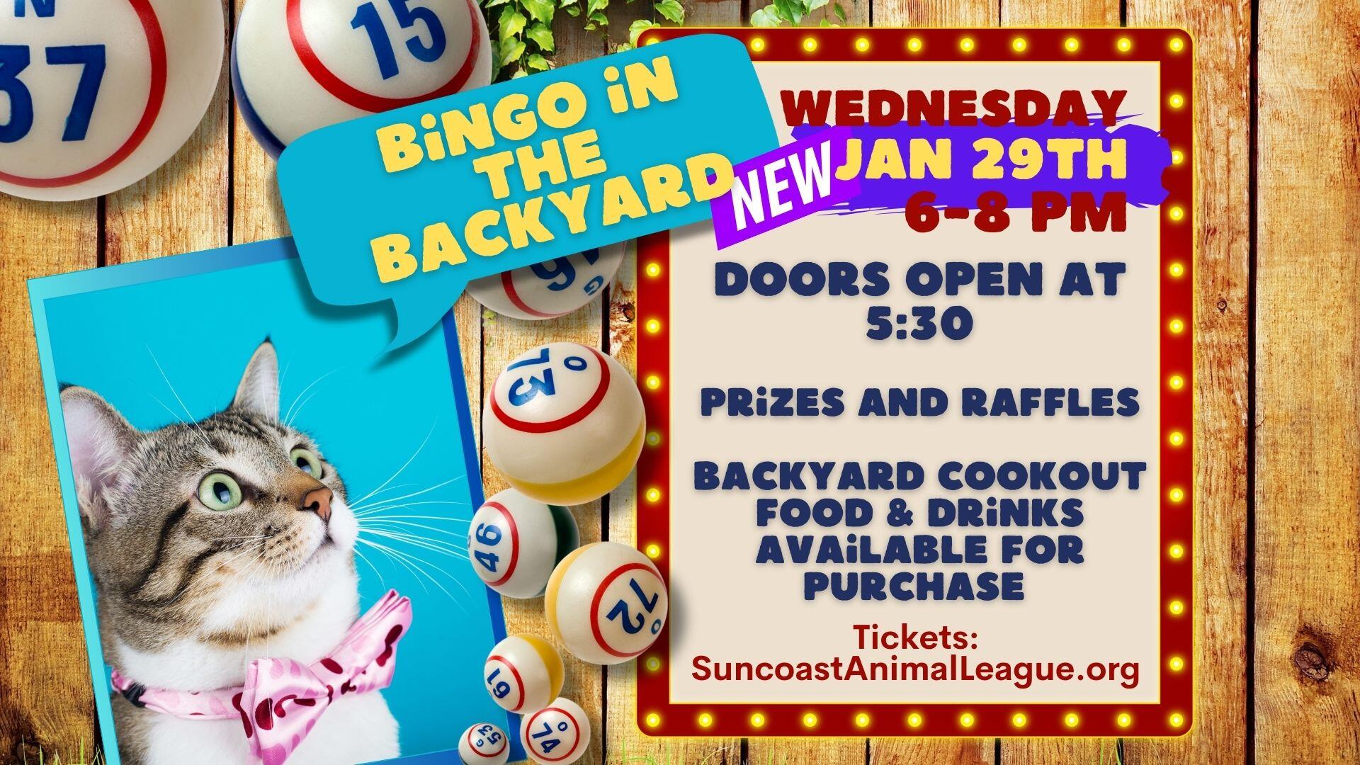 Campaign cover image for Bingo in the Backyard - Wednesday, Jan 29th, 6-8pm