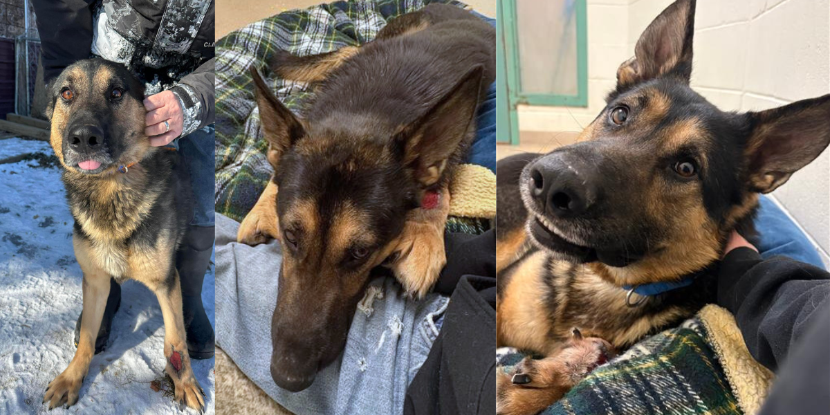 Campaign cover image for Help Bjorn with a 2nd Chance at Life