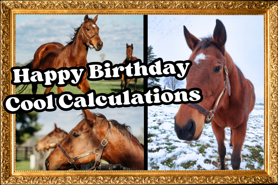 Campaign cover image for Cool Calculations Birthday