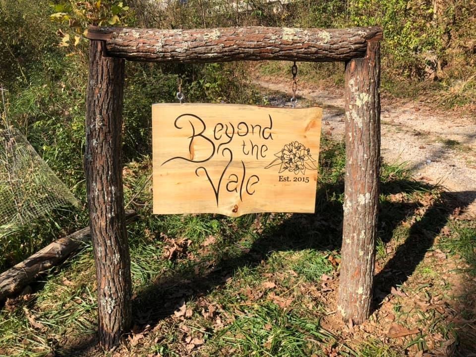 Campaign cover image for Help expand Beyond the Vale!