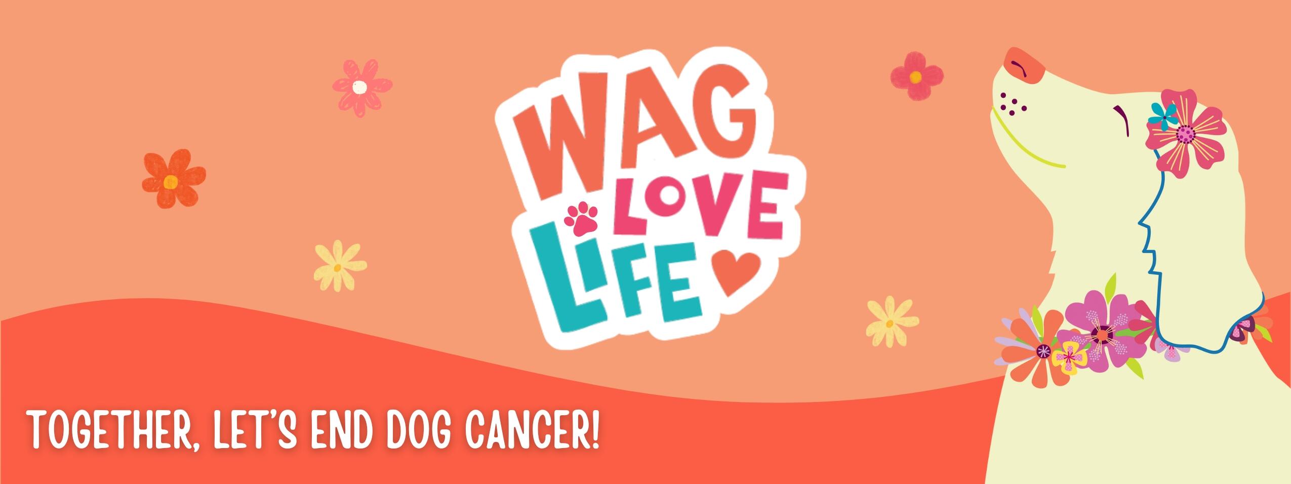 Campaign cover image for Wag Love Life WALK and RUN - 2025
