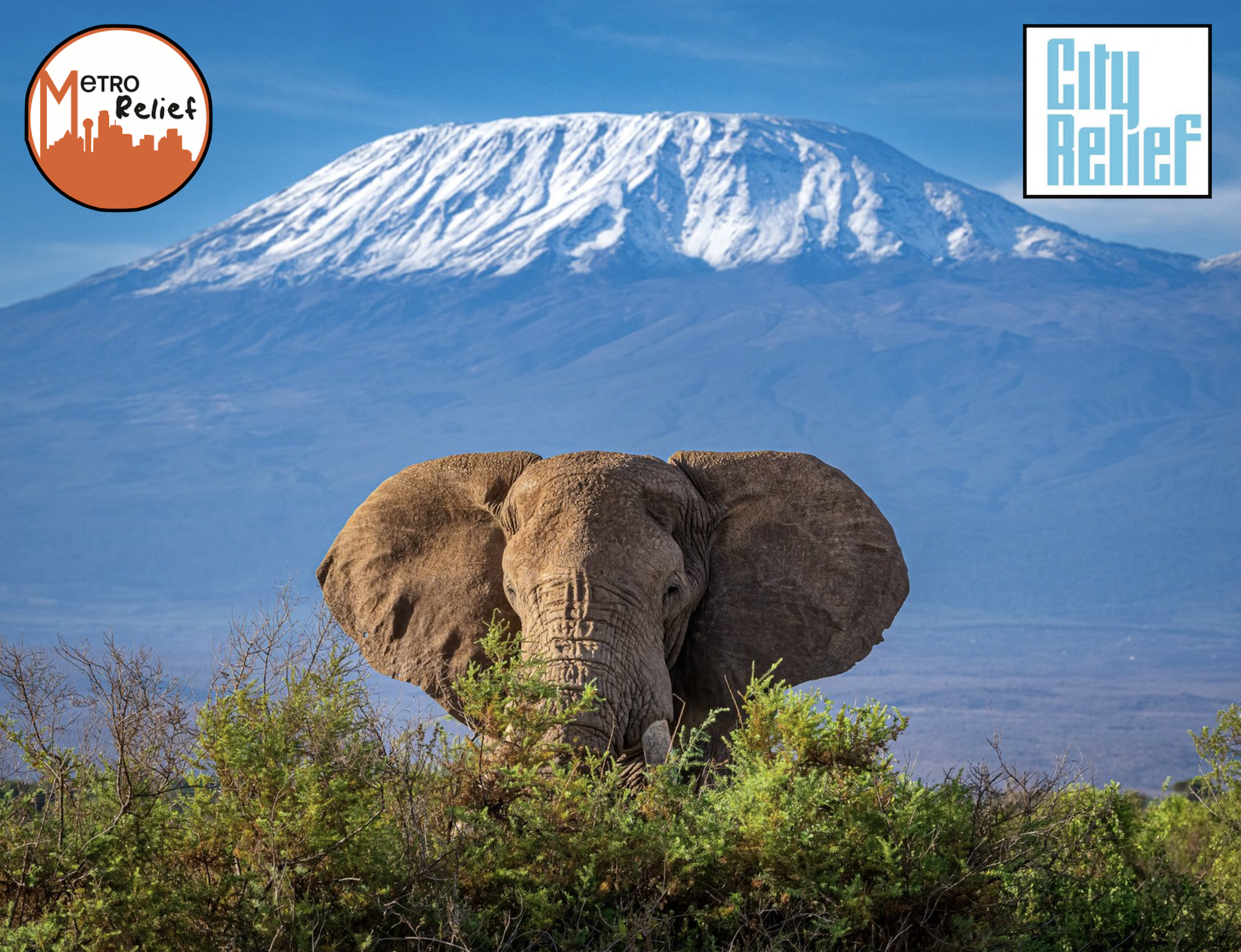 Campaign cover image for HIKE FOR THE HOMELESS Kilimanjaro 2026 PROJECT
