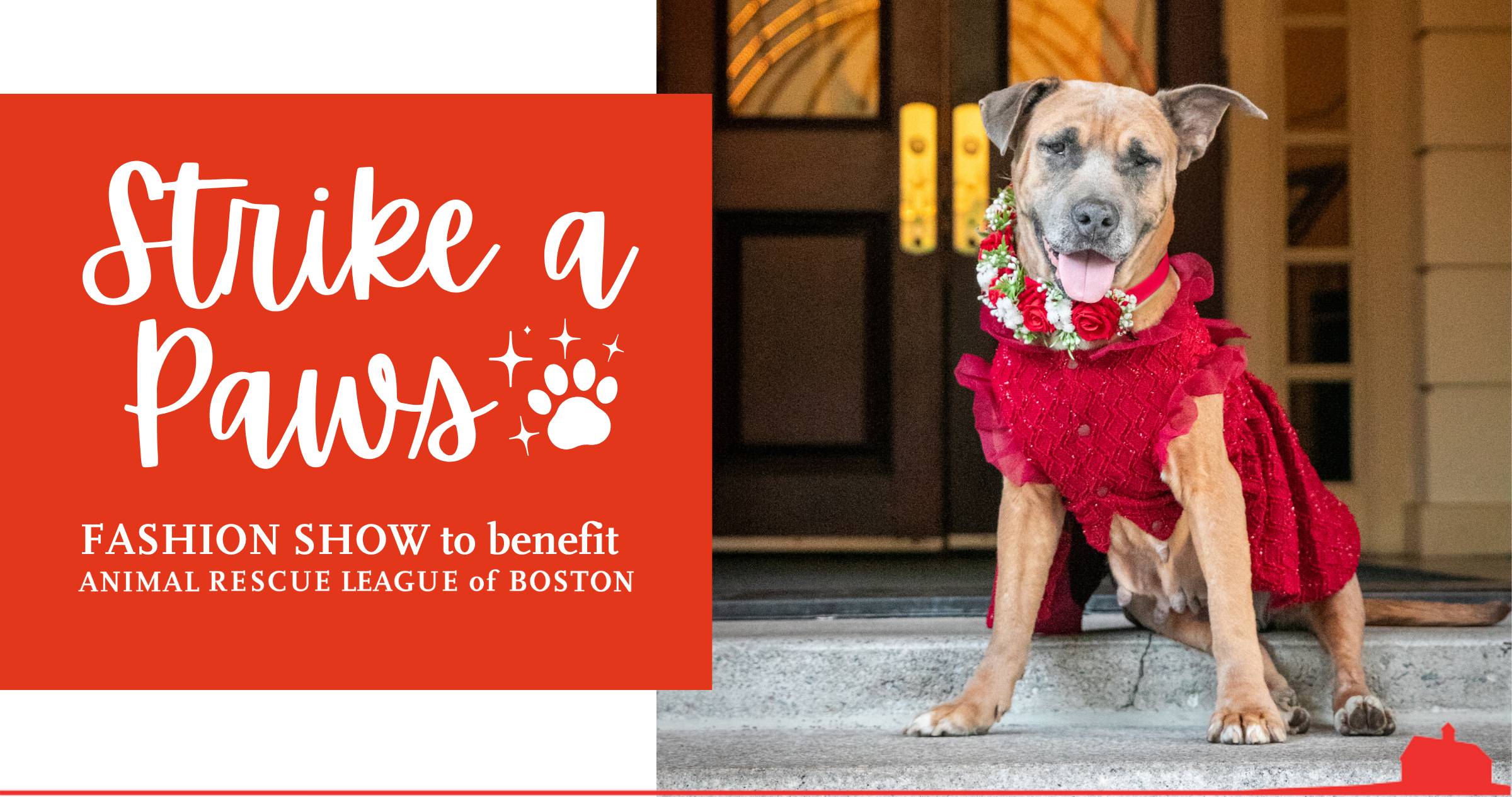 Campaign cover image for Strike a Paws