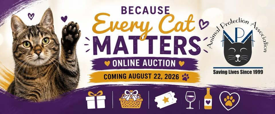 Campaign cover image for Because Every Cat Matters Online Auction