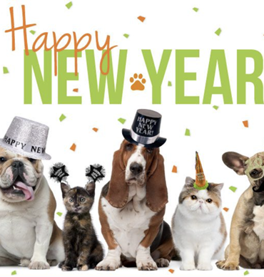 Campaign cover image for 2025 Last Chance Animal Rescue & St. Francis Farm Year-End Appeal