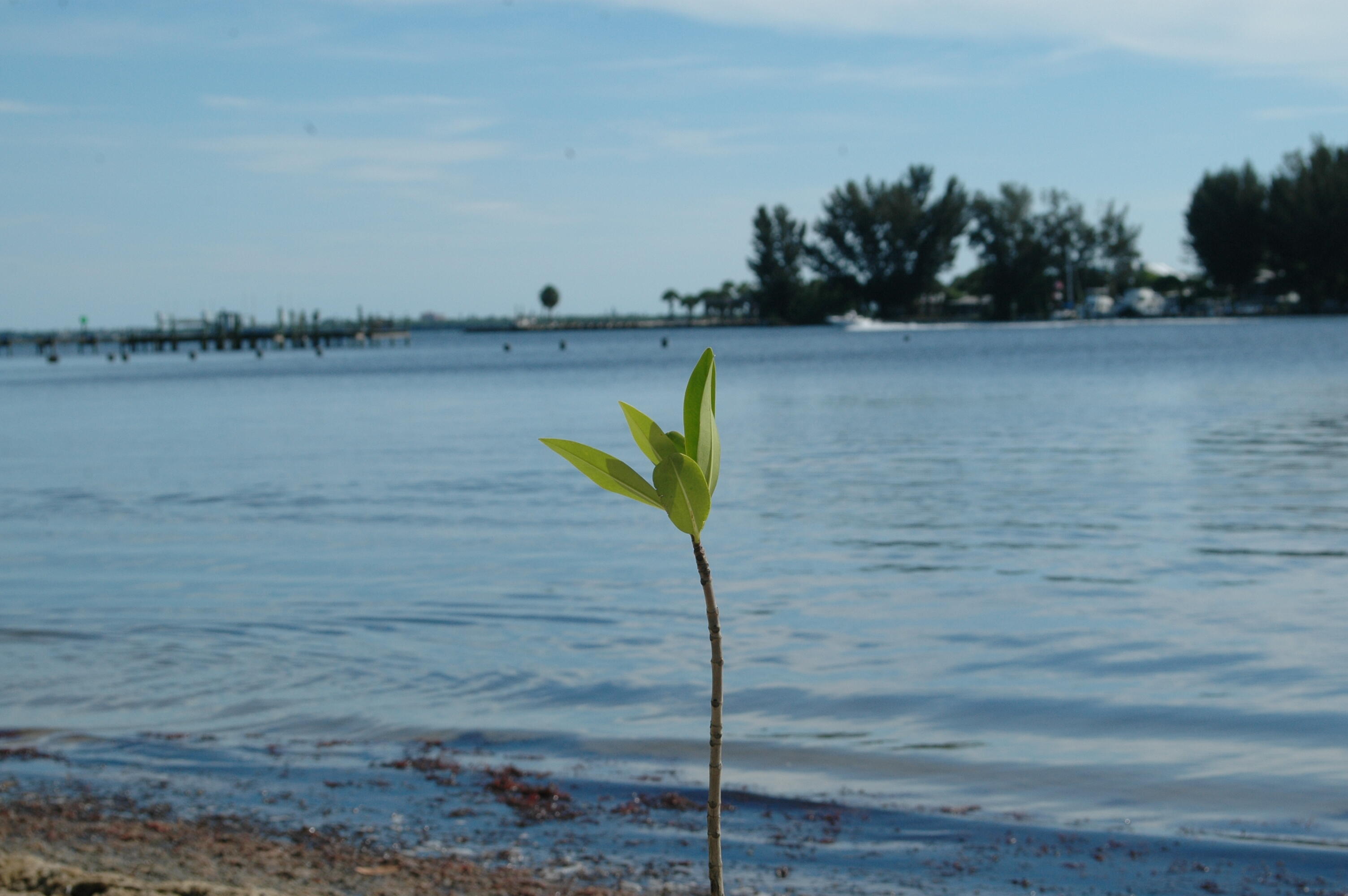 Campaign cover image for 2025 Donor Support