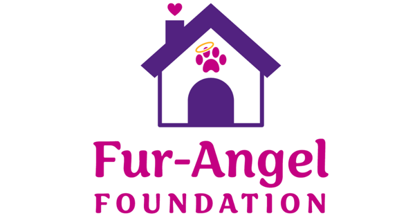 Campaign cover image for AUCTION