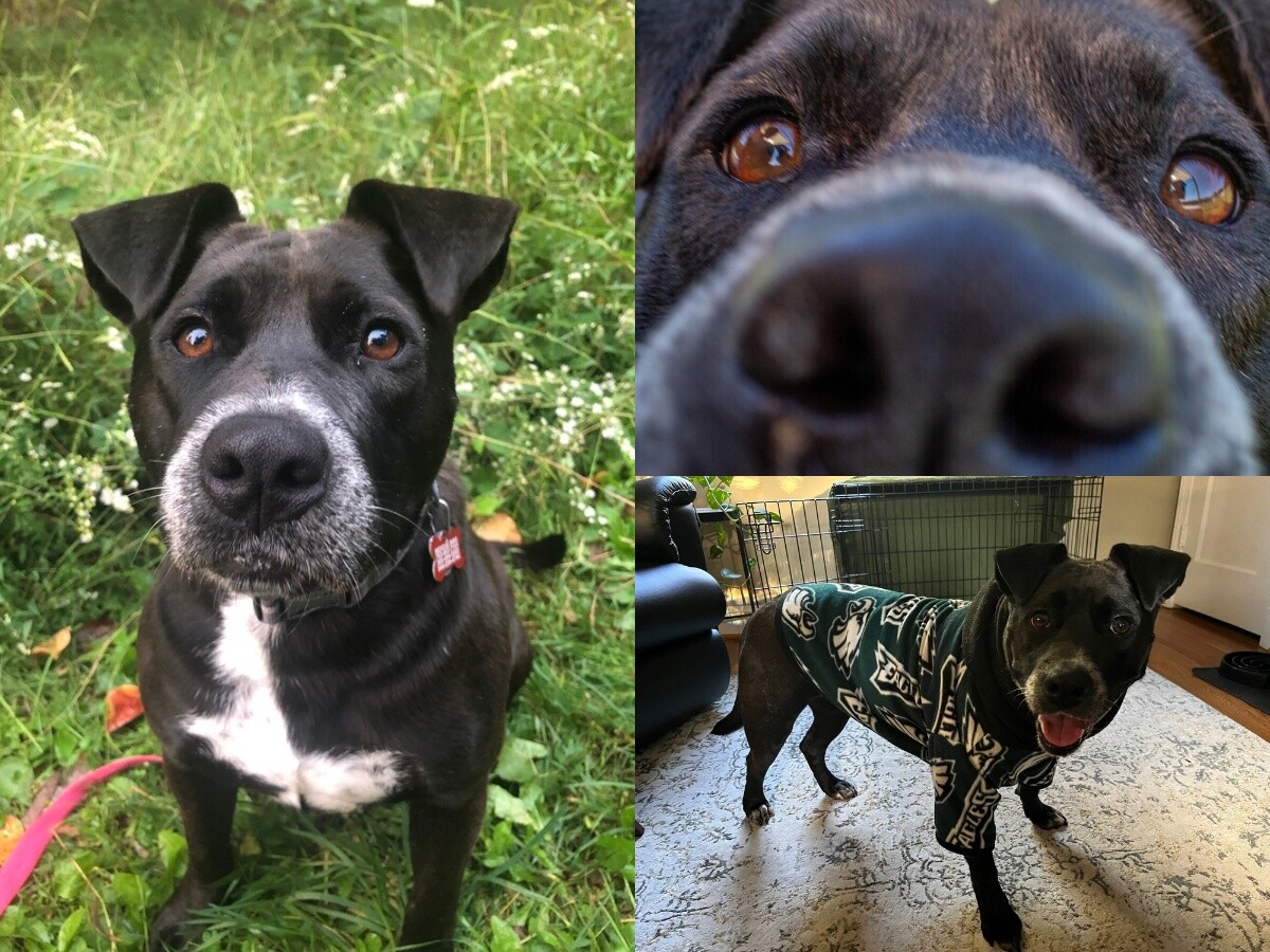 Campaign cover image for FIVE DOLLAR FRIDAY!!