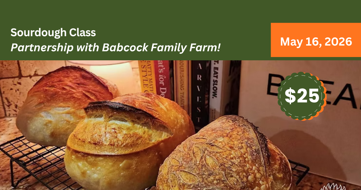 Campaign cover image for Sourdough Class