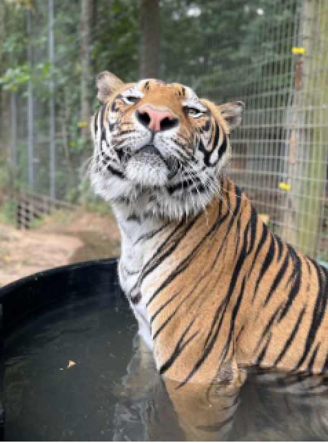 Campaign cover image for Doc's Memorial Fundraiser