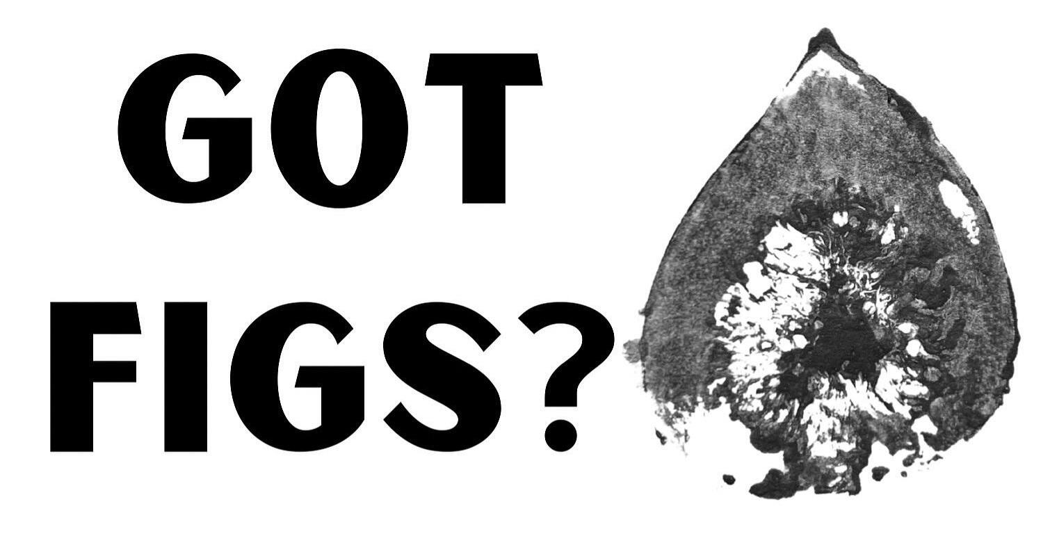 Campaign cover image for Astoria Fig Fest Raffle