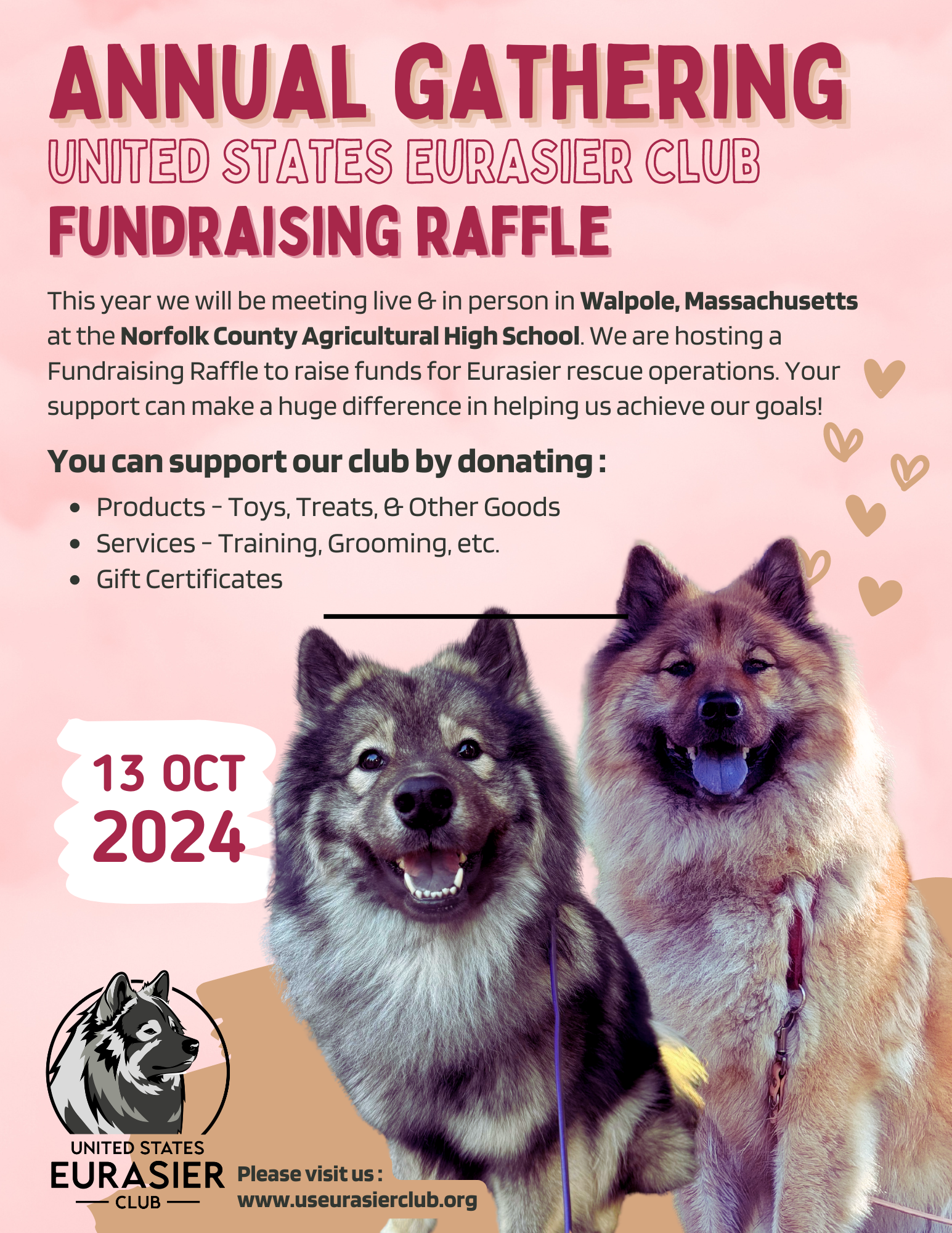 Campaign cover image for USEC 19th Annual Meeting - Rescue Fundraiser