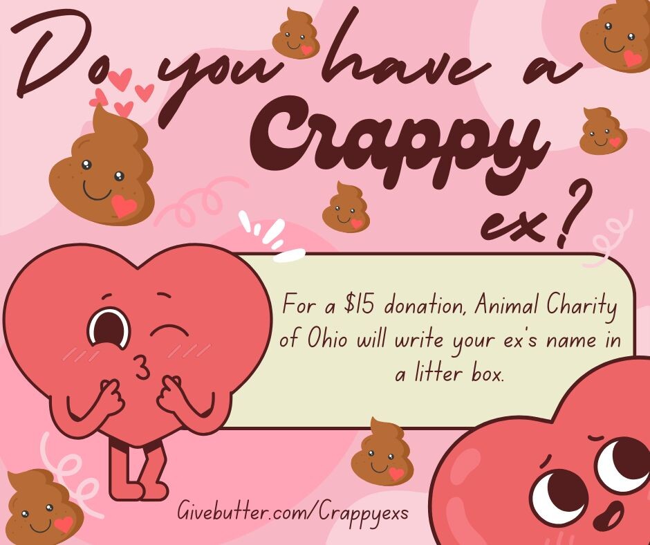 Campaign cover image for Do you have a crappy ex?