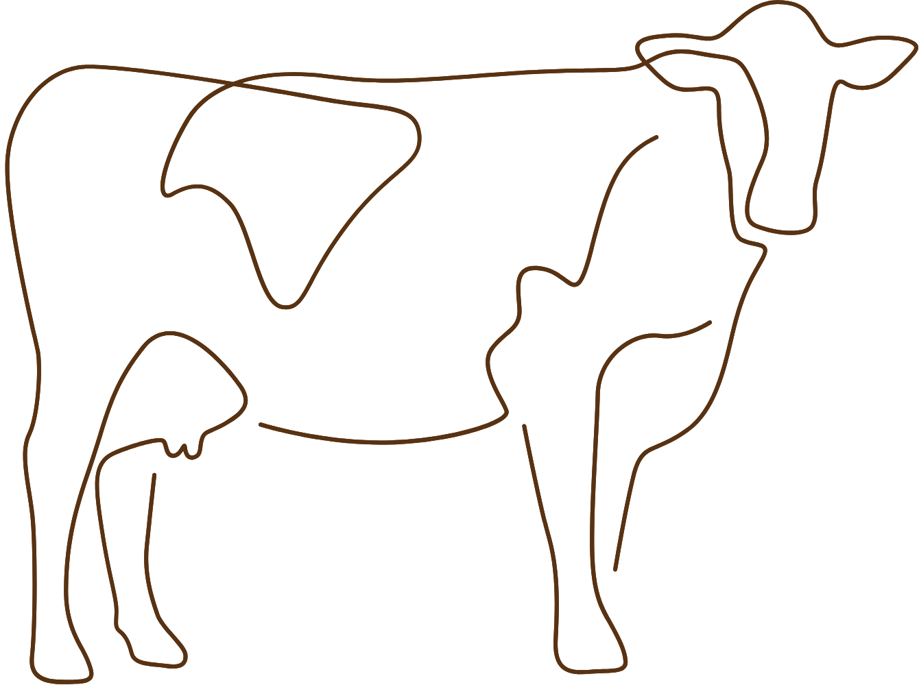 Campaign cover image for "Adopt" Scout