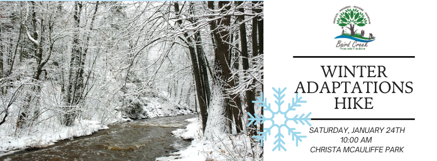 Campaign cover image for Winter Adaptations Hike 1/24/26