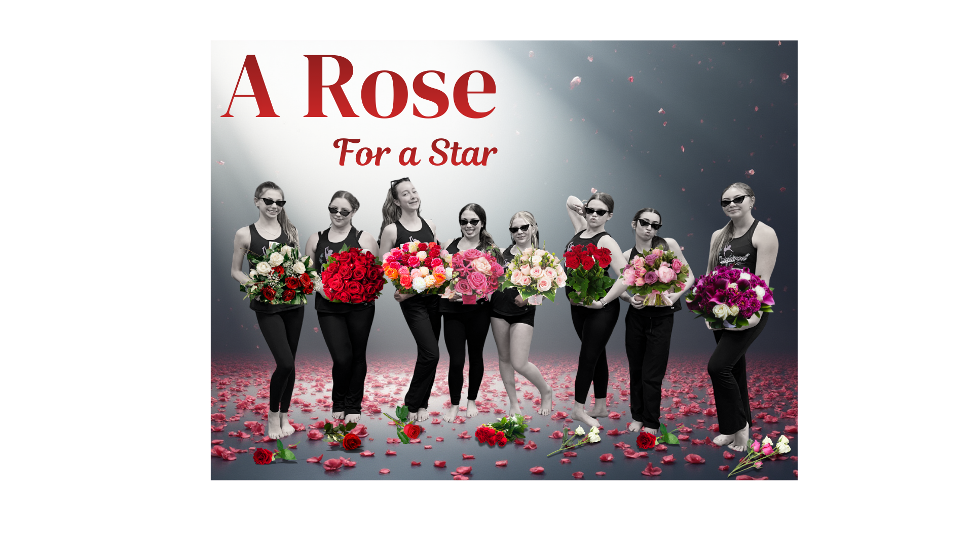 Campaign cover image for A Rose for a Star