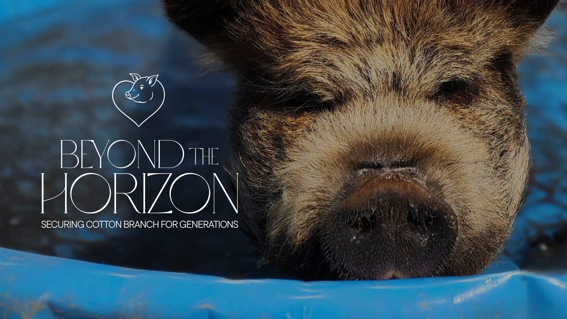 Campaign cover image for ✨ Beyond the Horizon ✨