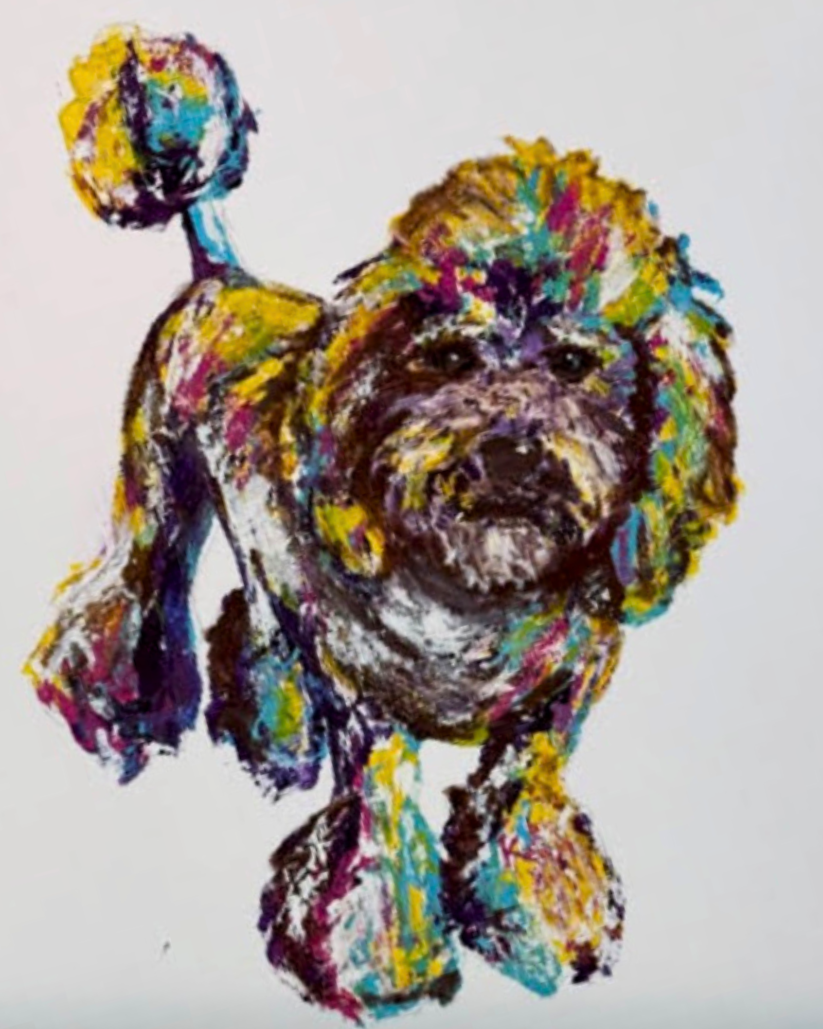 Campaign cover image for 6/4 Abstract Pet Portraits