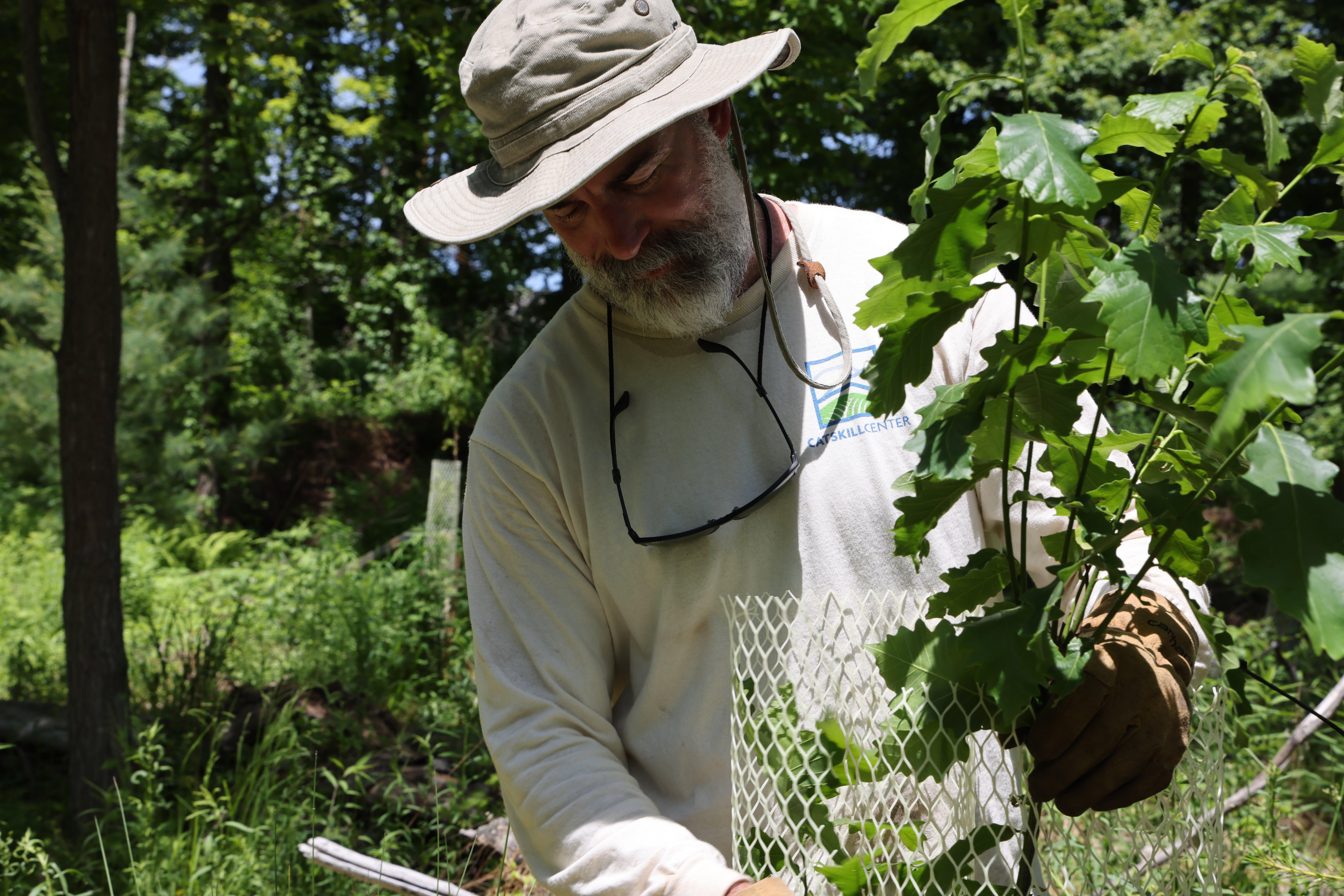 Campaign cover image for Protect the Trees! Learn and Protect: Historical Lineage of Invasive Species