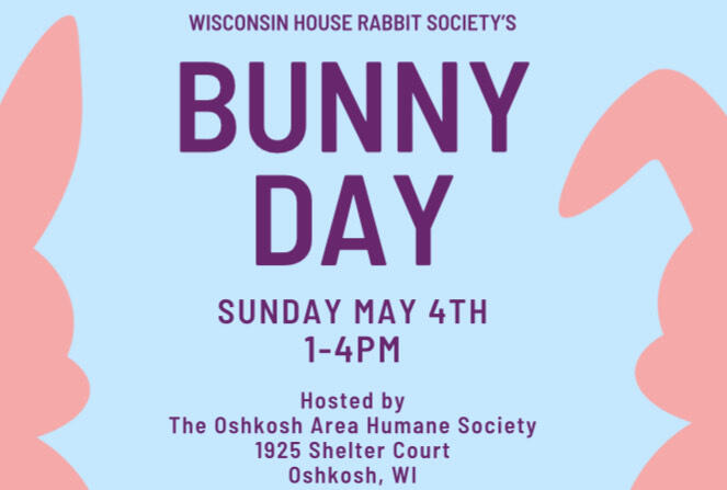 Campaign cover image for Bunny Day