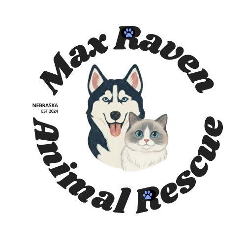 Campaign cover for Be a Monthly Sponsor For one of our Adoptables or Honor a Pet who has Passed, Save a Life 🌈