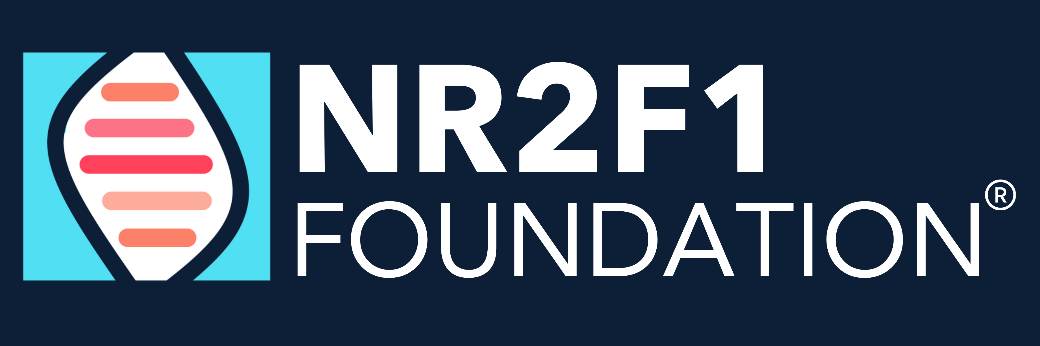 Campaign cover image for As a Foundation we want to speed up the understanding of BBSOAS and most importantly find treatment for our children and families.