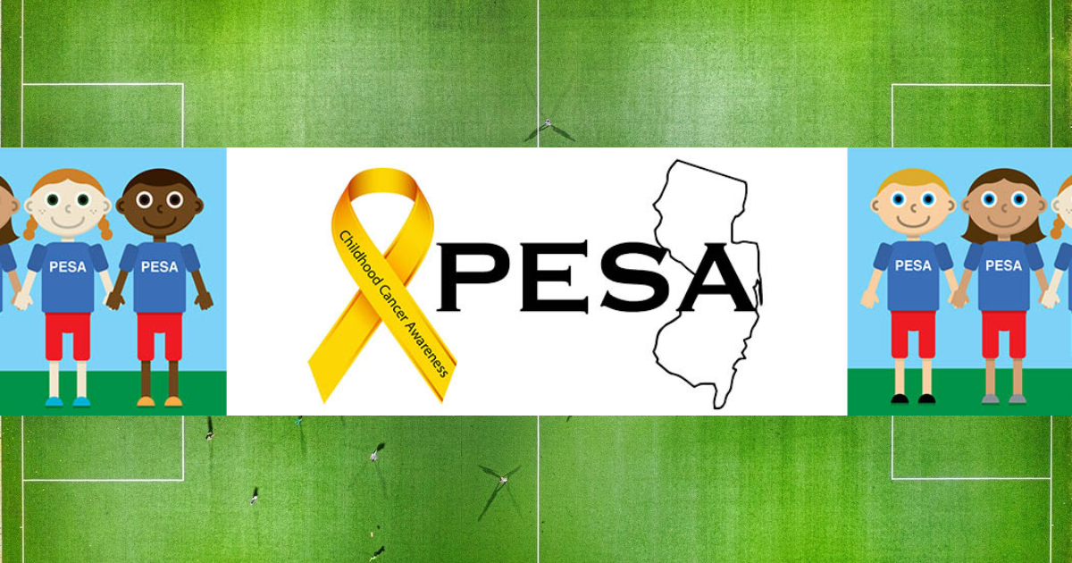 Campaign cover image for Help PESA & PESAKids Fight Pediatric Cancer
