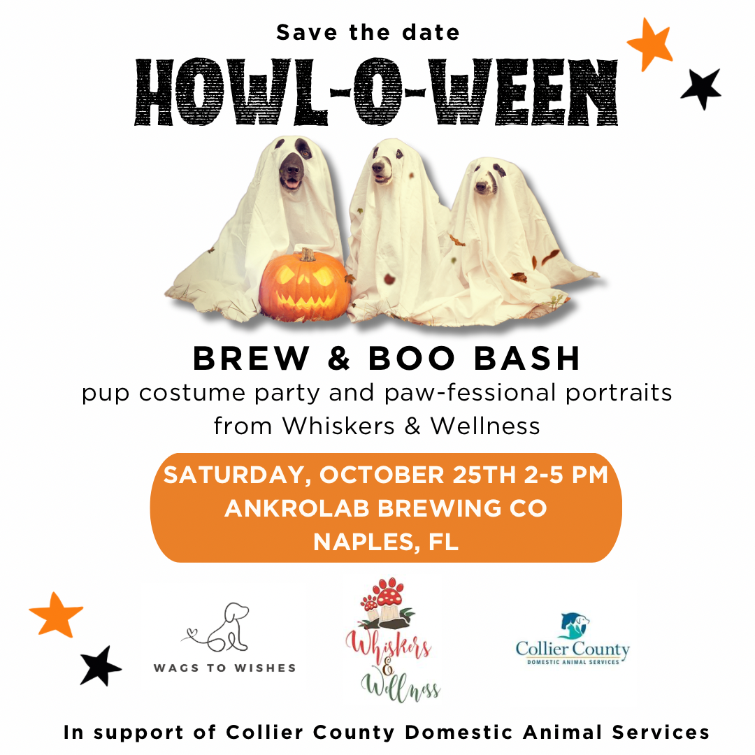 Campaign cover image for Howl-O-Ween Brew & Boos Bash