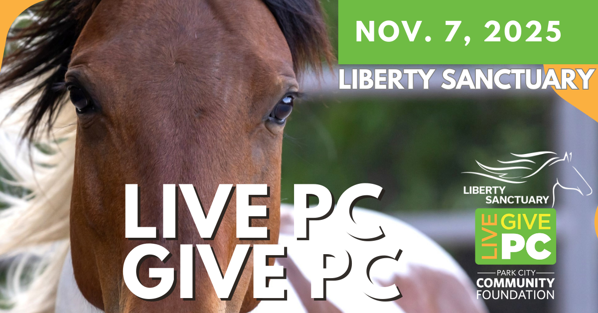 Campaign cover image for LIVE PC GIVE PC