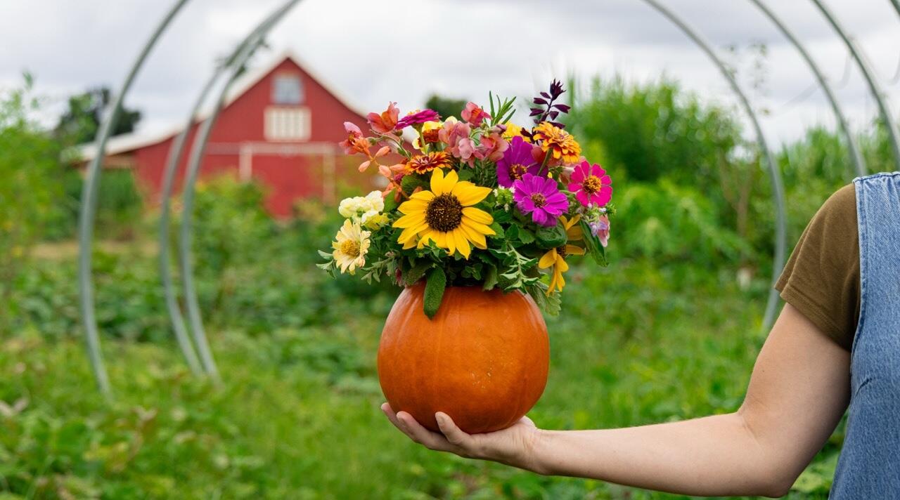 Campaign cover image for Pumpkins & Petals: A Fall Floral Arranging Class