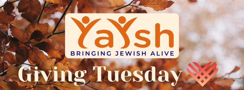 Campaign cover image for Support Moms on Giving Tuesday 2025!