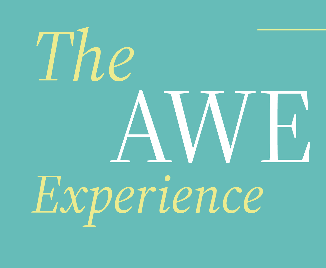 Campaign cover image for 1 Day AWE Experience Investor