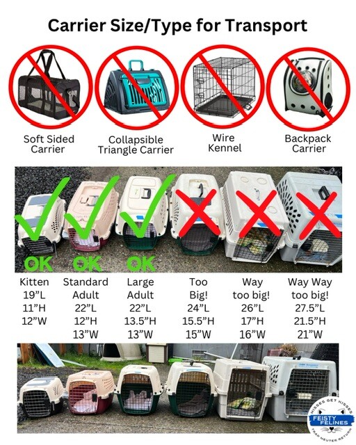 Campaign cover image for Mar 17 - Spay and Neuter - TACOMA