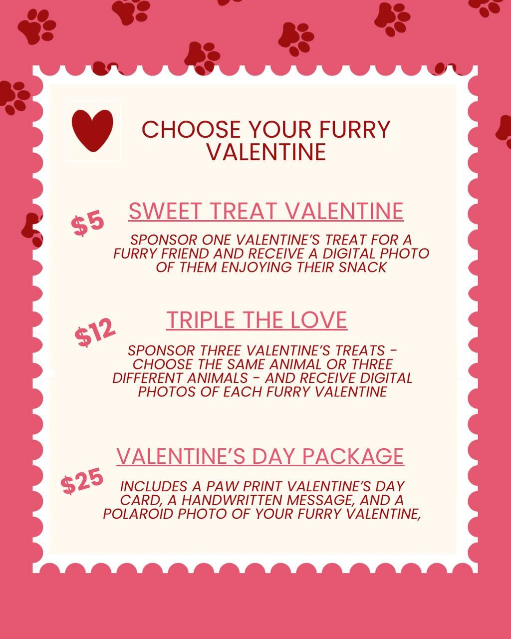Campaign cover image for ❤️🐾 Paw-some Valentines: Sweet Treats for Furry Friends