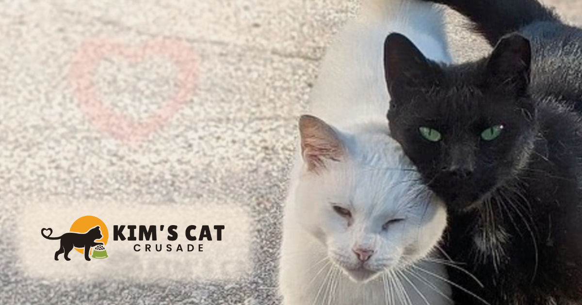 Campaign cover image for Love That Lasts.  Love That Matters.