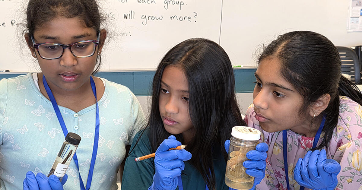 Campaign cover for FUEL the Future of STEM for teens and rising adults