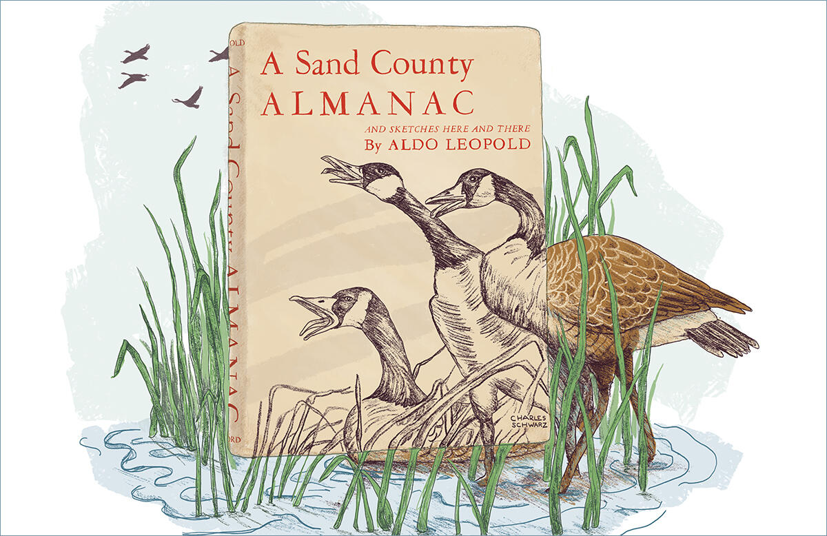 Campaign cover image for Naturalist Notebook: A Sand County Almanac