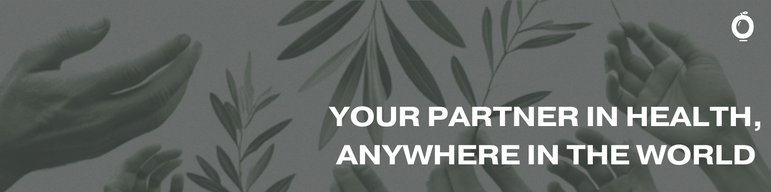 Campaign cover image for Olea's Healing Crescent