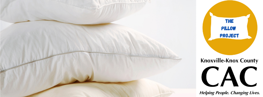 Campaign cover image for Beatrice Irwin: Pillow Project Fundraiser