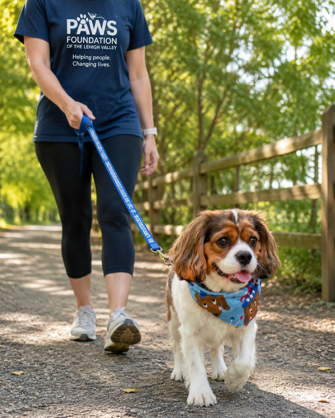 Campaign cover image for PAWS Forward: Miles for Independence
