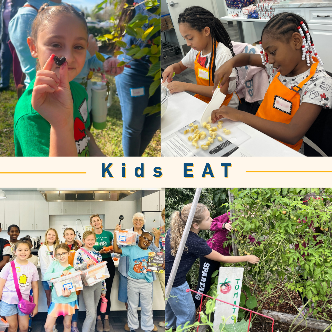Campaign cover image for Daystar Kids EAT + Turtle Talk 11/1/25