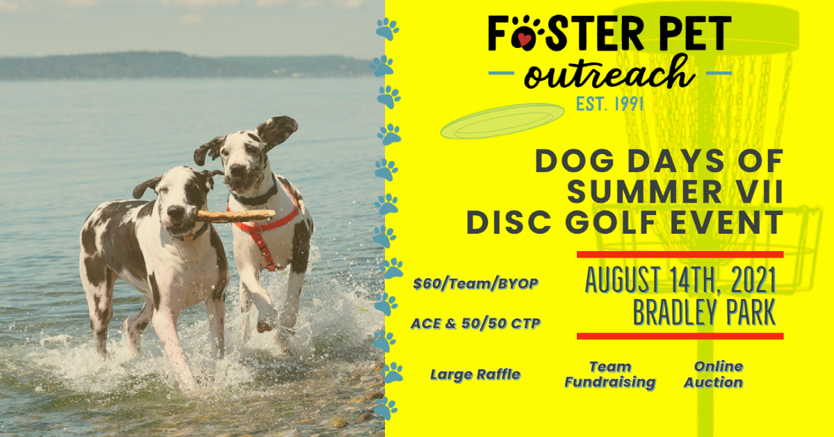 Campaign cover image for Dog Days of Summer VII - Team Fundraising