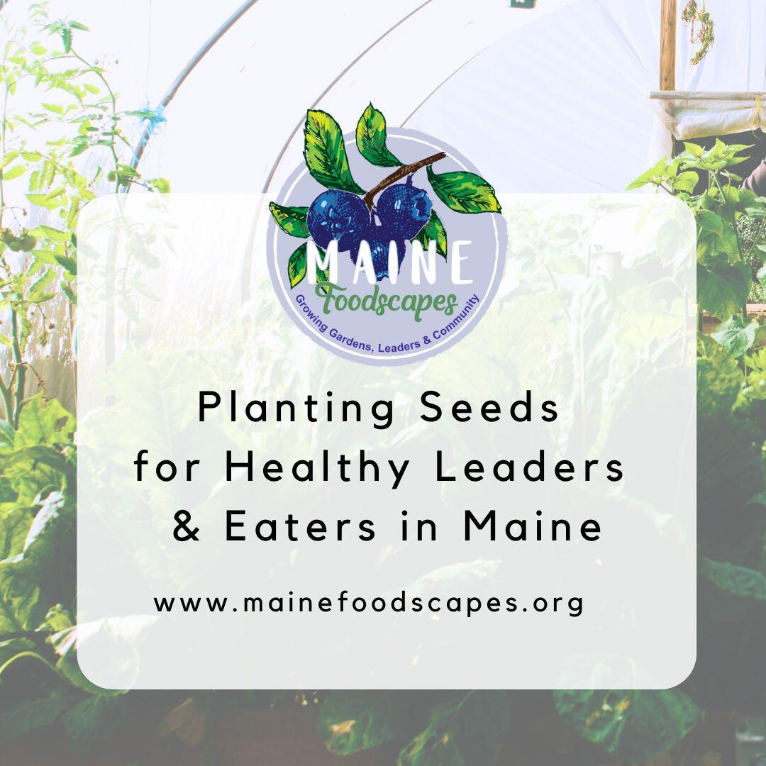 Campaign cover image for Help the Foodscapes Garden Project in 2026 Build Vegetable Gardens for Maine Families!
