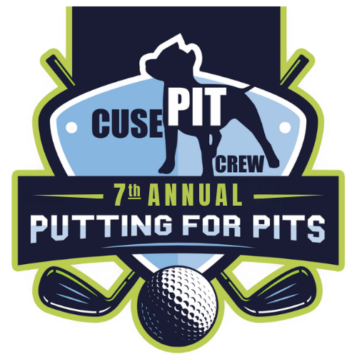 Campaign cover image for 7th Annual Cuse Pit Crew Putting For Pits Golf Tournament