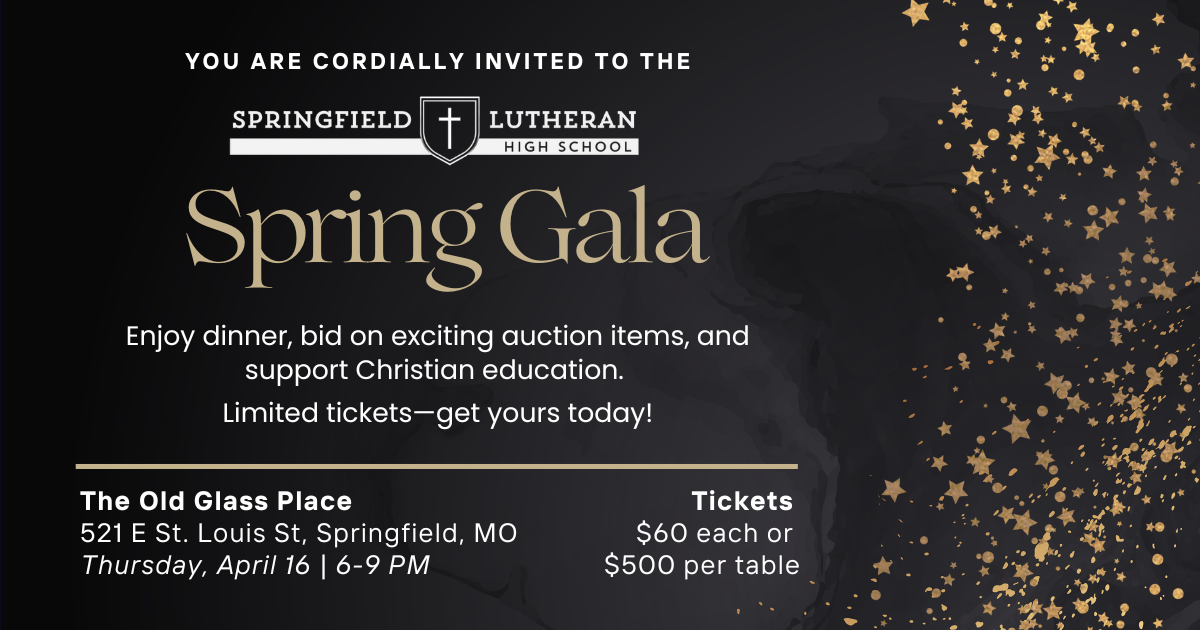 Campaign cover image for 2026 Spring Gala