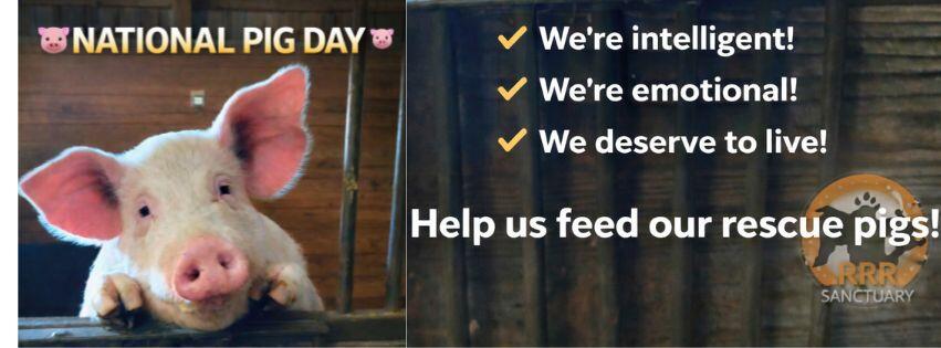 Campaign cover image for FeedOurPigs