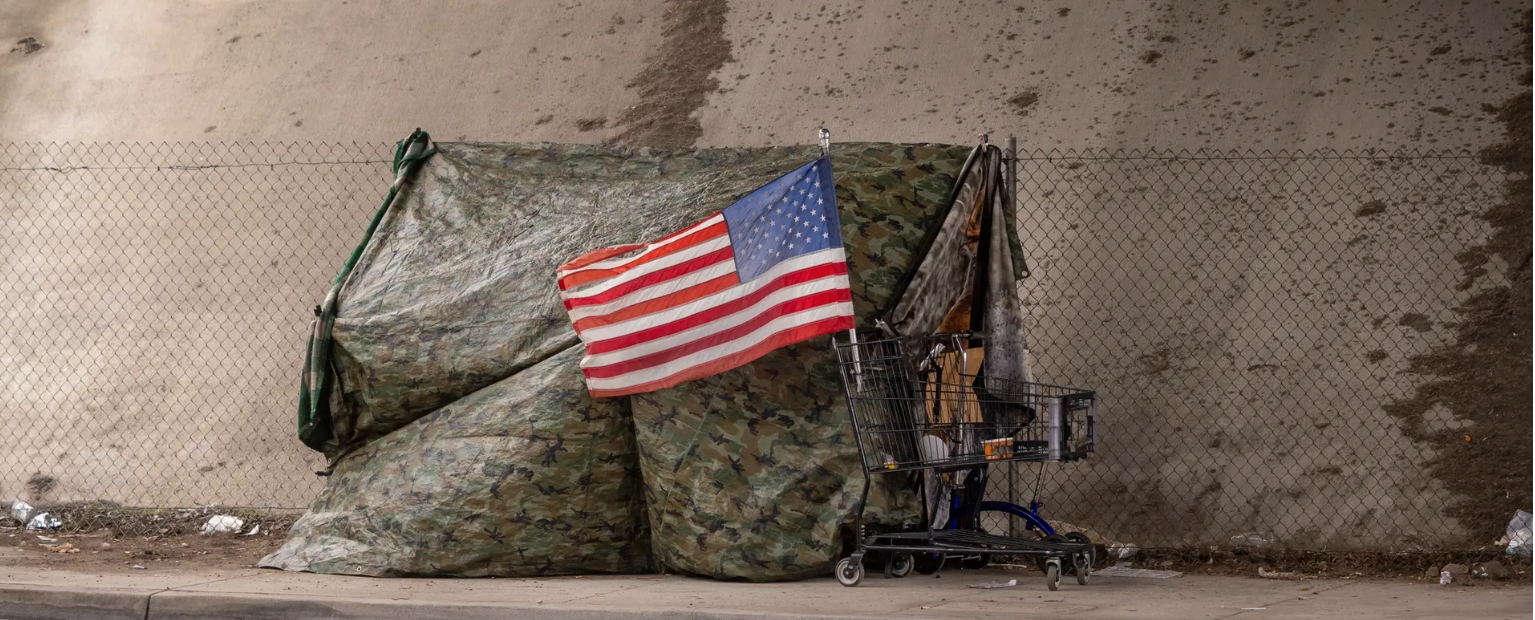 Campaign cover image for Operation Vet Rescue