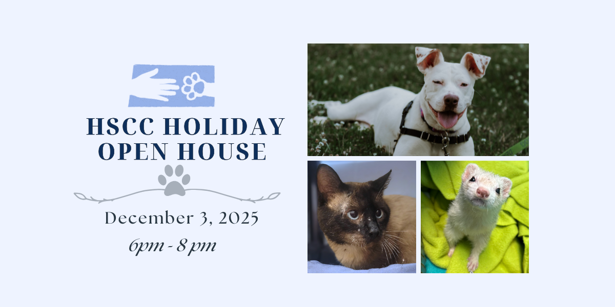 Campaign cover image for Holiday Open House 2025